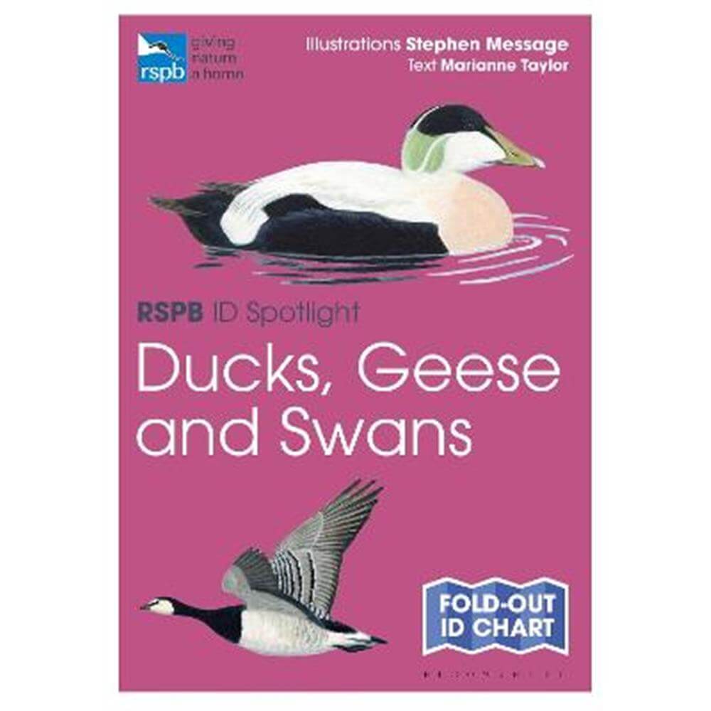 RSPB ID Spotlight - Ducks, Geese and Swans - Stephen Message